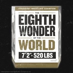 SUPER7 Andre The Giant Ultimates Action Figure Andre Black Singlet 20 Cm 18 SUPER7 Andre The Giant Ultimates Action Figure Andre Black Singlet 20 Cm -Children's Toy Store AndreTheGiantUltimatesActionFigureAndreBlackSinglet20cm5