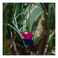 Tomy Beat The Camera Game 15 Tomy Beat The Camera Game -Children's Toy Store BeatTheCamera6