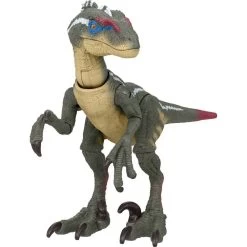 Jurassic World Hammond Collection Action Figure Velociraptor 14 Jurassic World Hammond Collection Action Figure Velociraptor -Children's Toy Store Jurassic World Hammond Collection Action Figure Velociraptor Jurassic World 1690376705109
