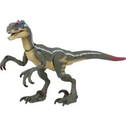 Jurassic World Hammond Collection Action Figure Velociraptor 16 Jurassic World Hammond Collection Action Figure Velociraptor -Children's Toy Store Jurassic World Hammond Collection Action Figure Velociraptor Jurassic World 1690376711121