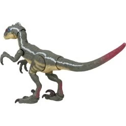 Jurassic World Hammond Collection Action Figure Velociraptor 17 Jurassic World Hammond Collection Action Figure Velociraptor -Children's Toy Store Jurassic World Hammond Collection Action Figure Velociraptor Jurassic World 1690376715469