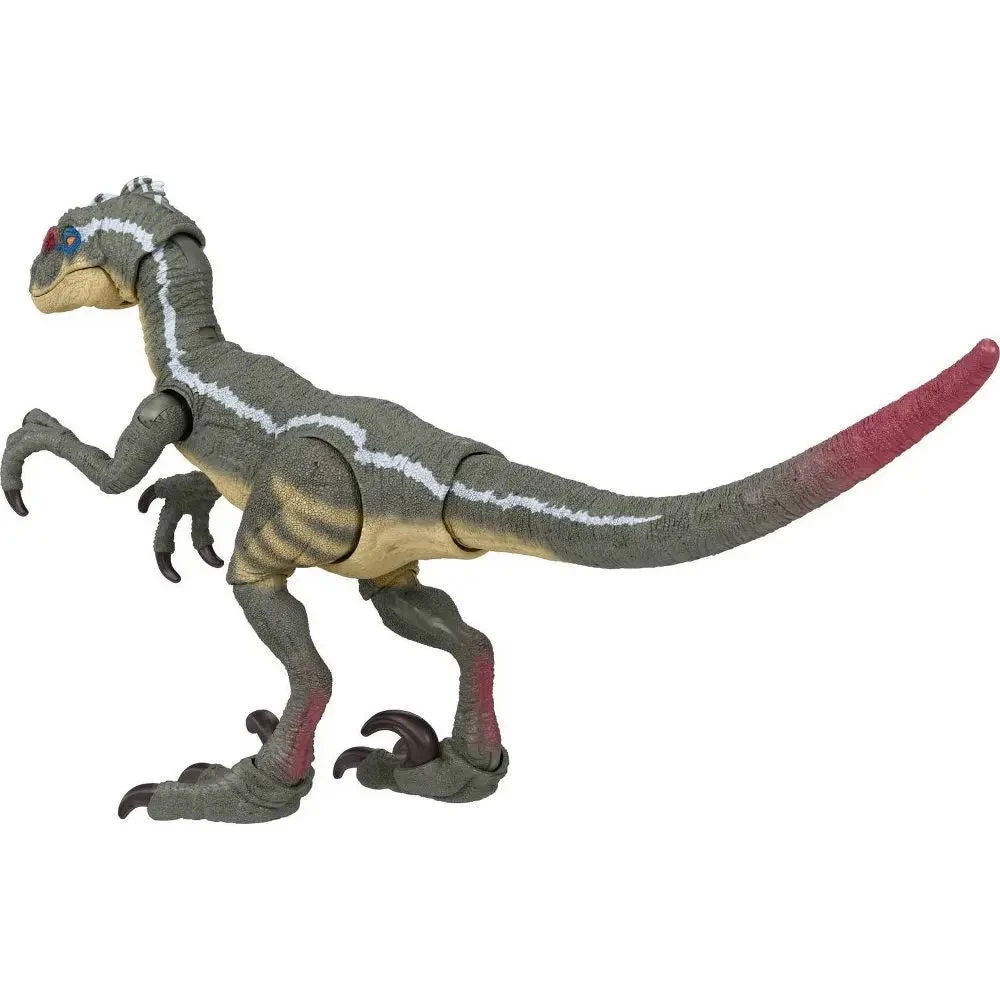 Jurassic World Hammond Collection Action Figure Velociraptor 8 Jurassic World Hammond Collection Action Figure Velociraptor - Image 6